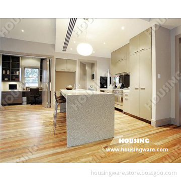 Newest Design Lacquer Kitchen Cabinet with Blum Accessories